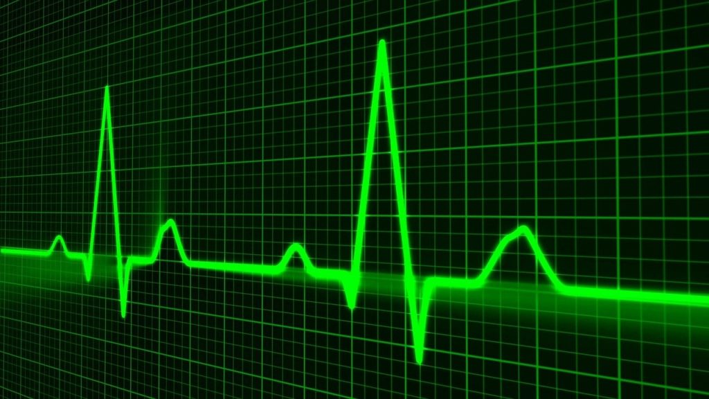 SPARKLINE関数の使い方！セル内に棒グラフ・折れ線グラフを表示させよう！