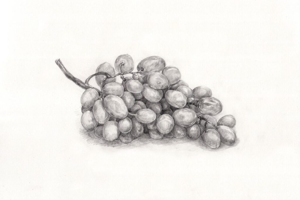 デッサンのおすすめ本ランキング19選!【2023年】