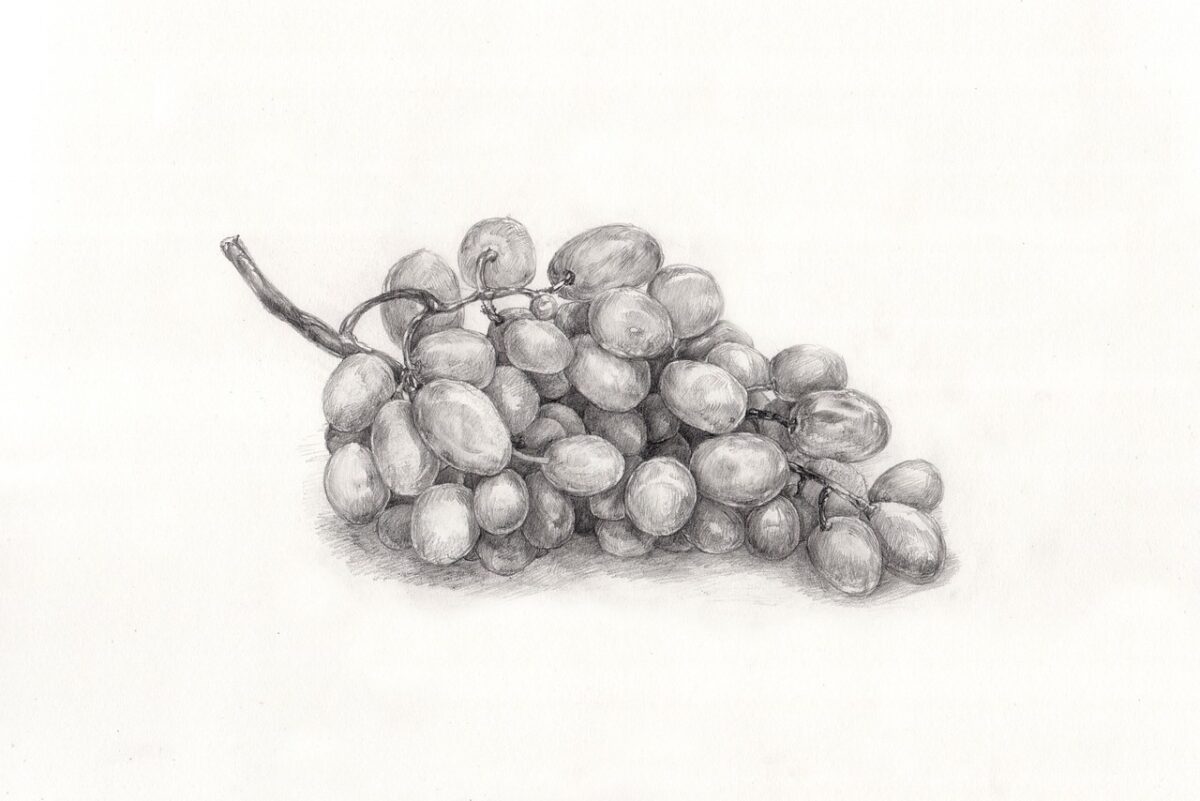 デッサンのおすすめ本ランキング19選!【2023年】